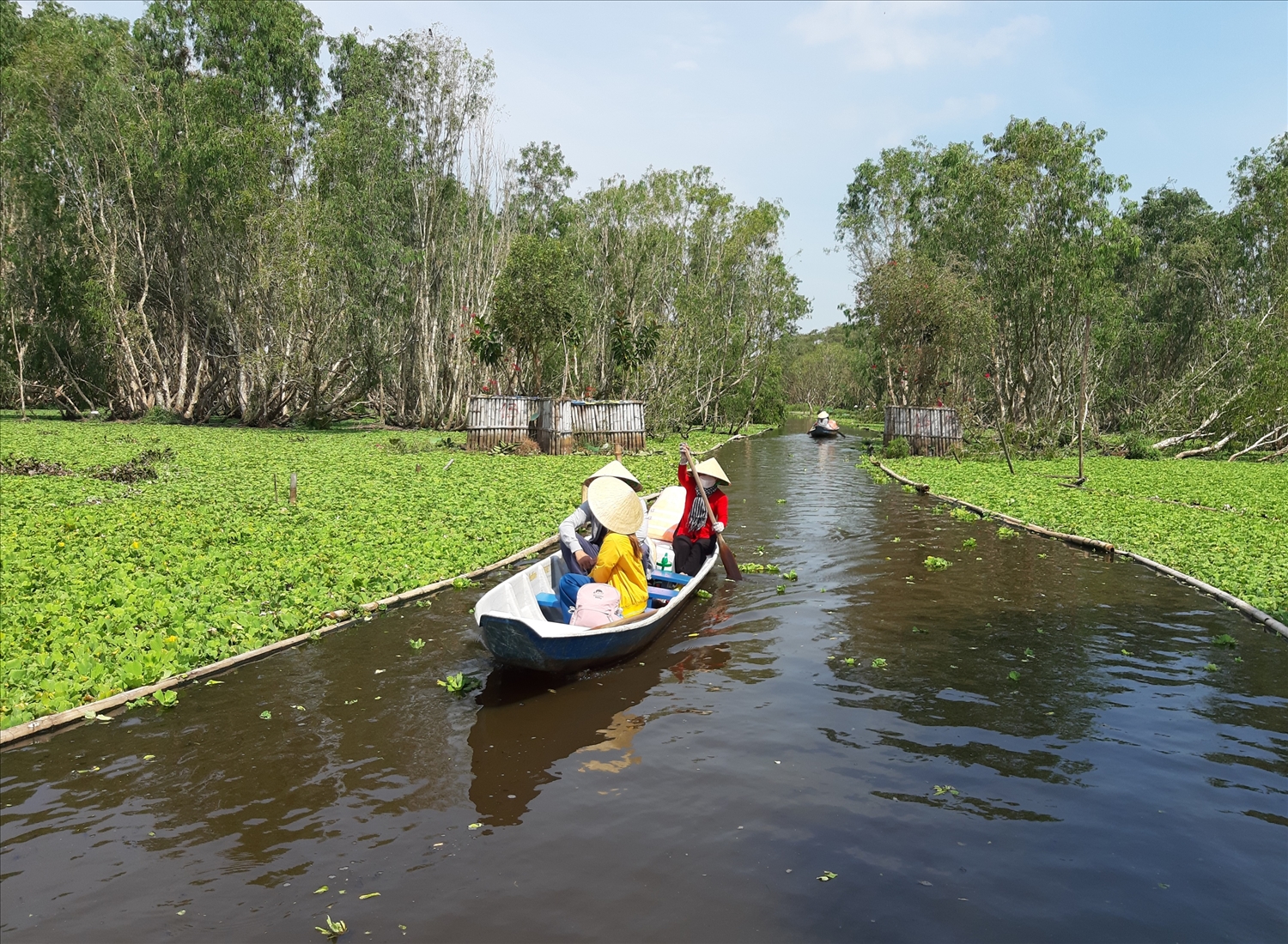 Hình ảnh xuồng tam bản composite đưa du khách tham quan trên sông